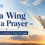 On a Wing and a Prayer