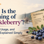 What Is the Meaning of “Huckleberry”