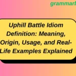 Uphill Battle Idiom Definition: Meaning, Origin, Usage, and Real-Life Examples Explained