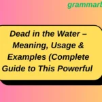Dead in the Water – Meaning, Usage & Examples (Complete Guide to This Powerful Idiom)
