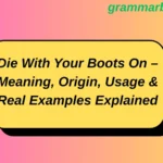 Die With Your Boots On