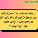 Intelligent vs Intellectual: What’s the Real Difference and Why It Matters in Everyday Life