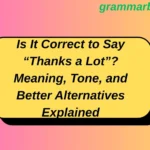 Is It Correct to Say “Thanks a Lot”? Meaning, Tone, and Better Alternatives Explained