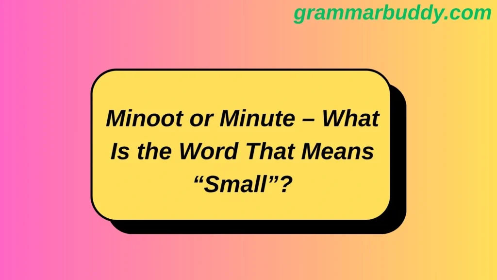 Minoot or Minute