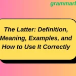 The Latter: Definition, Meaning, Examples, and How to Use It Correctly