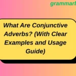 What Are Conjunctive Adverbs? (With Clear Examples and Usage Guide)
