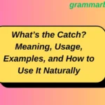 What’s the Catch? Meaning, Usage, Examples, and How to Use It Naturally